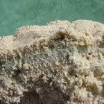 Close up of layering of the microbialite